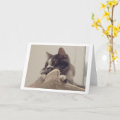 Boris de Schattigee Nubber Kat Groet Kaart (Gele Bloem)