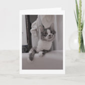 Boris de Schattigee Nubber Kat Groet Kaart (Voorkant)