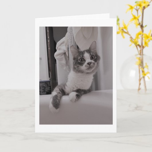 Boris de Schattigee Nubber Kat Groet Kaart (Gele Bloem)