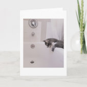 Boris de Schattigee Nubber Kat Groet Kaart (Voorkant)