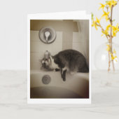 Boris de Schattigee Number Kat groet Kaart (Gele Bloem)