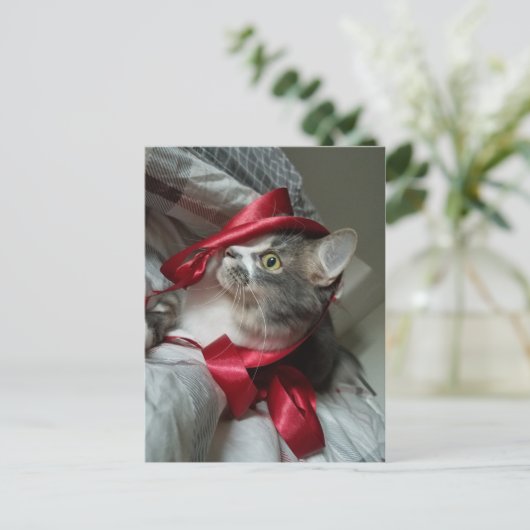 Boris het Schattigee Nubber Kat Briefkaart (Staand voorkant)