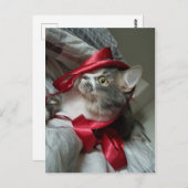 Boris het Schattigee Nubber Kat Briefkaart (Voorkant / Achterkant)