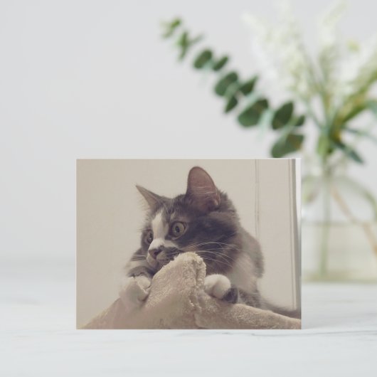 Boris het Schattigee Nubber Kat Briefkaart (Staand voorkant)