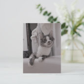 Boris het Schattigee Nubber Kat Briefkaart (Staand voorkant)