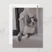 Boris het Schattigee Nubber Kat Briefkaart (Voorkant / Achterkant)