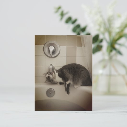 Boris het Schattigee Nubber Kat Briefkaart (Staand voorkant)