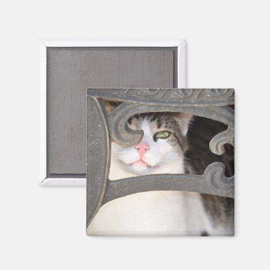 Boris Kat Magnet (Voorkant / Achterkant)