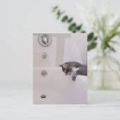 Boris the Cute Nubber Kat Briefkaart (Staand voorkant)