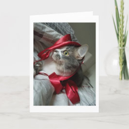 Boris the Cute Nubber Kat Holiday Cards Feestdagen Kaart