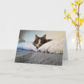 Boris the Cute Nubber Kat wenskaart Kaart (Gele Bloem)