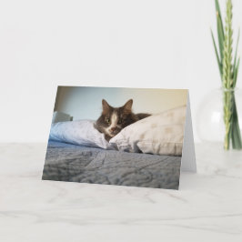 Boris the Cute Nubber Kat wenskaart Kaart