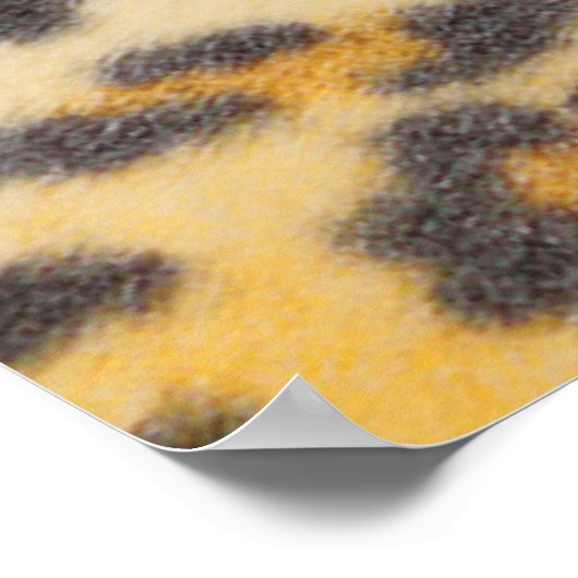 borisband poster (Hoek)