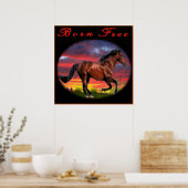 Born free Horse kunst Poster (Keuken)
