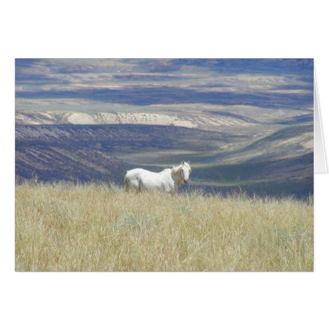 Born Free Wild Mustang Horse (Voorkant Horizontaal)