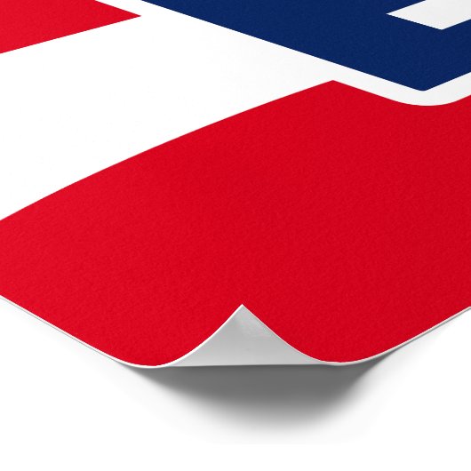 Born in the USA Poster (Hoek)