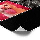 Born To Dilly Dally Forced To Lock In Funny Cat Me Poster (Hoek)