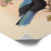 Borneaanse Fairy Bluebird door John Gould Print (Hoek)