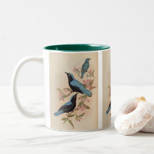 Borneaanse Feeënblauwvogel door John Gould Tweekleurige Koffiemok
