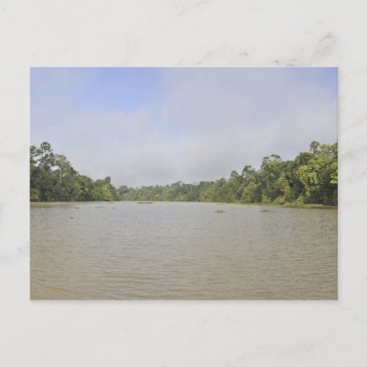 Borneo, Maleisië, panoramisch uitzicht Briefkaart (Voorkant)