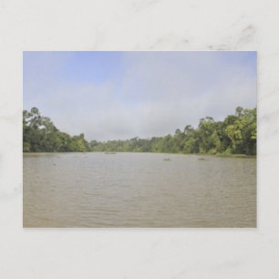 Borneo, Maleisië, panoramisch uitzicht Briefkaart