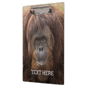 Borneo orang-oetan mooie fotografie klembord (Links)