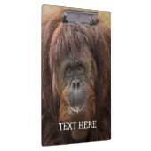 Borneo orang-oetan mooie fotografie klembord (Rechts)