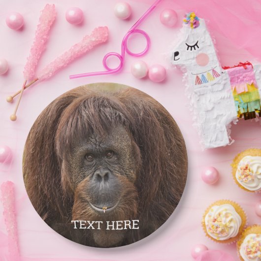 Borneo orang-oetan mooie fotografie papieren bordje (Feest)