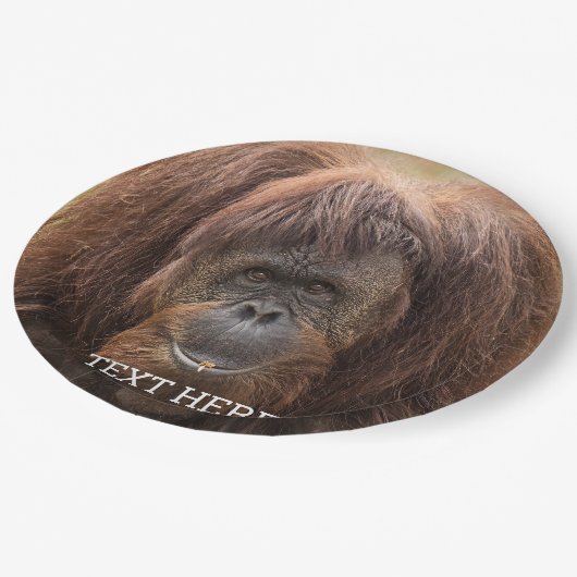 Borneo orang-oetan mooie fotografie papieren bordje (Gekanteld)
