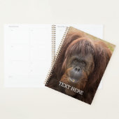 Borneo orang-oetan mooie fotografie planner (Display)