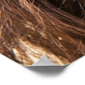 Borneo orang-oetan mooie fotografie poster (Hoek)