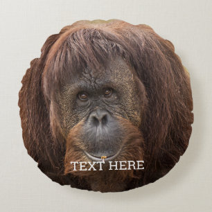 Borneo orang-oetan mooie fotografie rond kussen