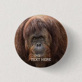 Borneo orang-oetan mooie fotografie ronde button 3,2 cm