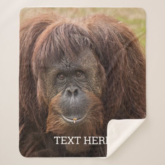 Borneo orang-oetan mooie fotografie sherpa deken (Voorkant)