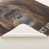 Borneo orang-oetan mooie fotografie sherpa deken (3/4)