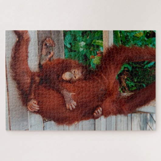 Borneo orangutan 1014-pc legpuzzel (Horizontaal)