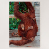 Borneo orangutan 1014-pc legpuzzel (Verticaal)