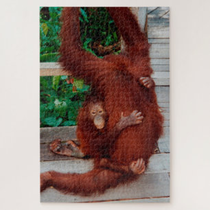 Borneo orangutan 1014-pc legpuzzel