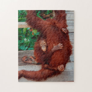 Borneo orangutan 252-pc legpuzzel