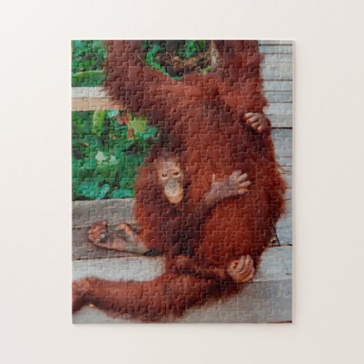 Borneo orangutan 252-pc legpuzzel (Verticaal)