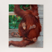 Borneo orangutan 520-pc legpuzzel (Verticaal)