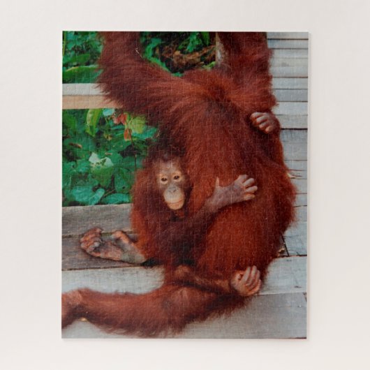 Borneo orangutan 520-pc legpuzzel (Verticaal)