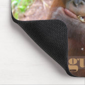 Borneo Orangutan Baby Illegal Pet Trade Muismat (Hoek)