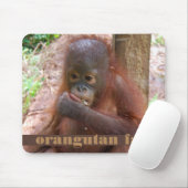 Borneo Orangutan Baby Illegal Pet Trade Muismat (Met muis)