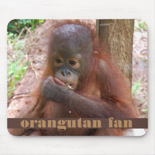 Borneo Orangutan Baby Illegal Pet Trade Muismat (Voorkant)