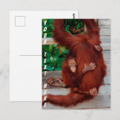  Borneo orangutan Briefkaart (Voorkant / Achterkant)