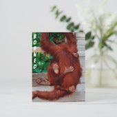 Borneo orangutan briefkaart (Staand voorkant)