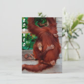 Borneo orangutan-kaart (Staand voorkant)