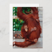  Borneo orangutan-kaart (Voorkant / Achterkant)
