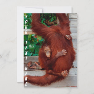 Borneo orangutan-kaart